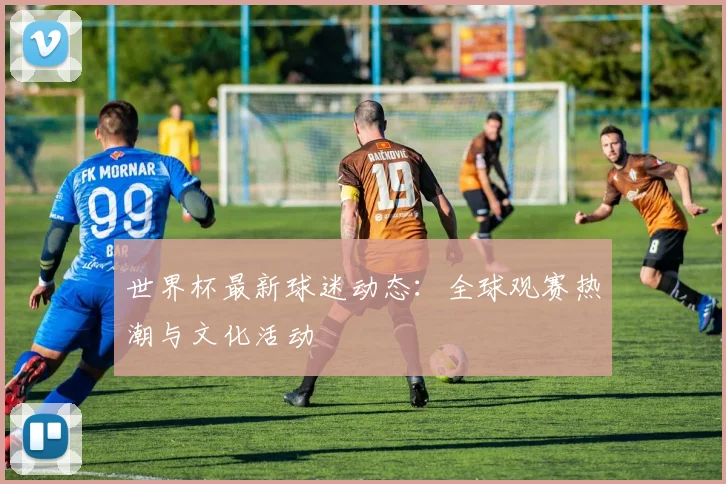 世界杯最新球迷动态：全球观赛热潮与文化活动