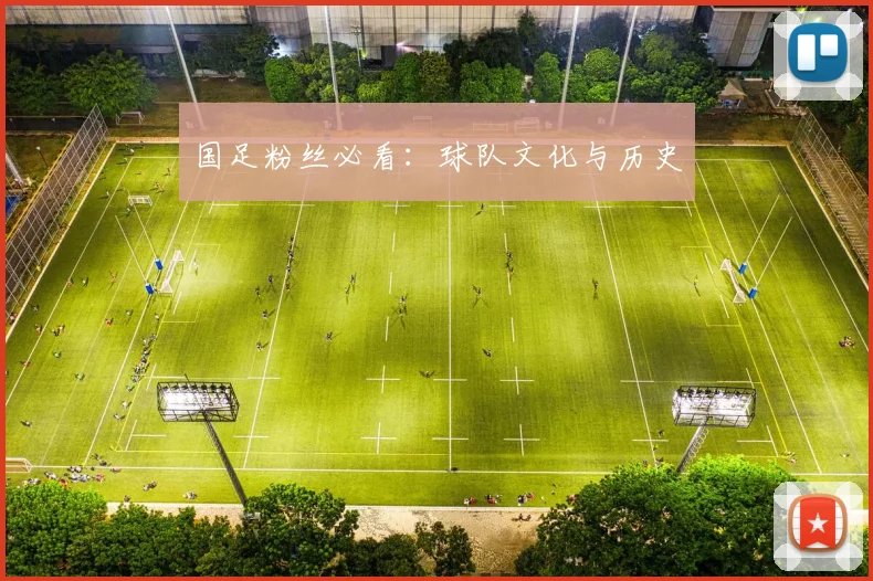 国足粉丝必看：球队文化与历史