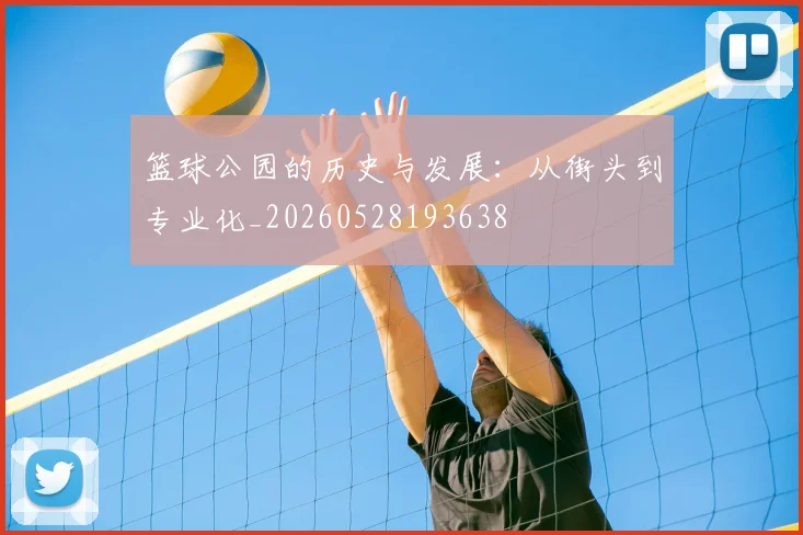 篮球公园的历史与发展：从街头到专业化_20260528193638